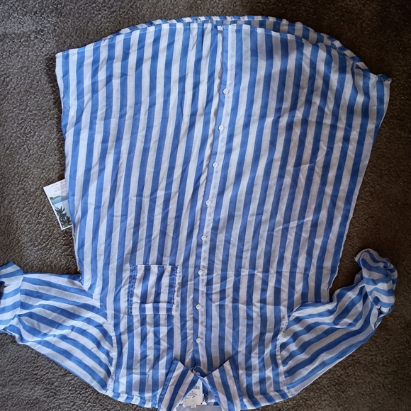 Striped Blue and White Button-Up Shirt - Picture 1 of 3